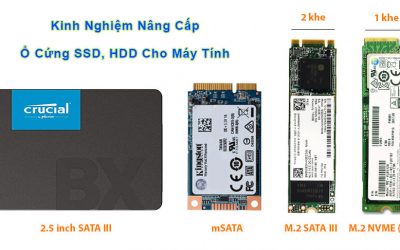 Kinh nghiệm nâng cấp ổ cứng SSD, HDD cho máy tính