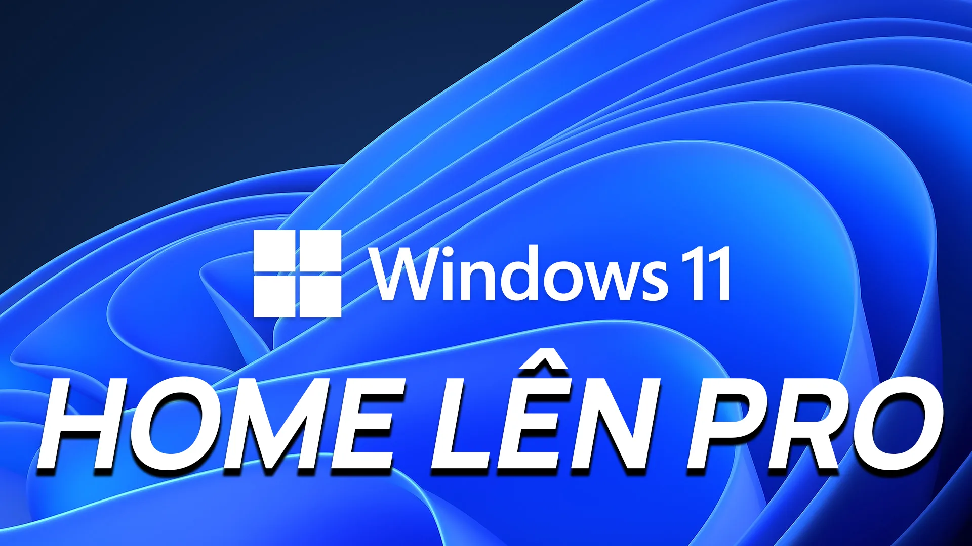 cách nâng cấp win 11 home single language lên win 11 pro