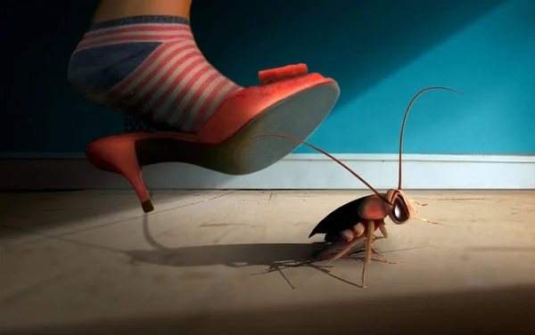 Bạn nghĩ gián “bẩn”, nhưng gián lại chê bạn “dơ”